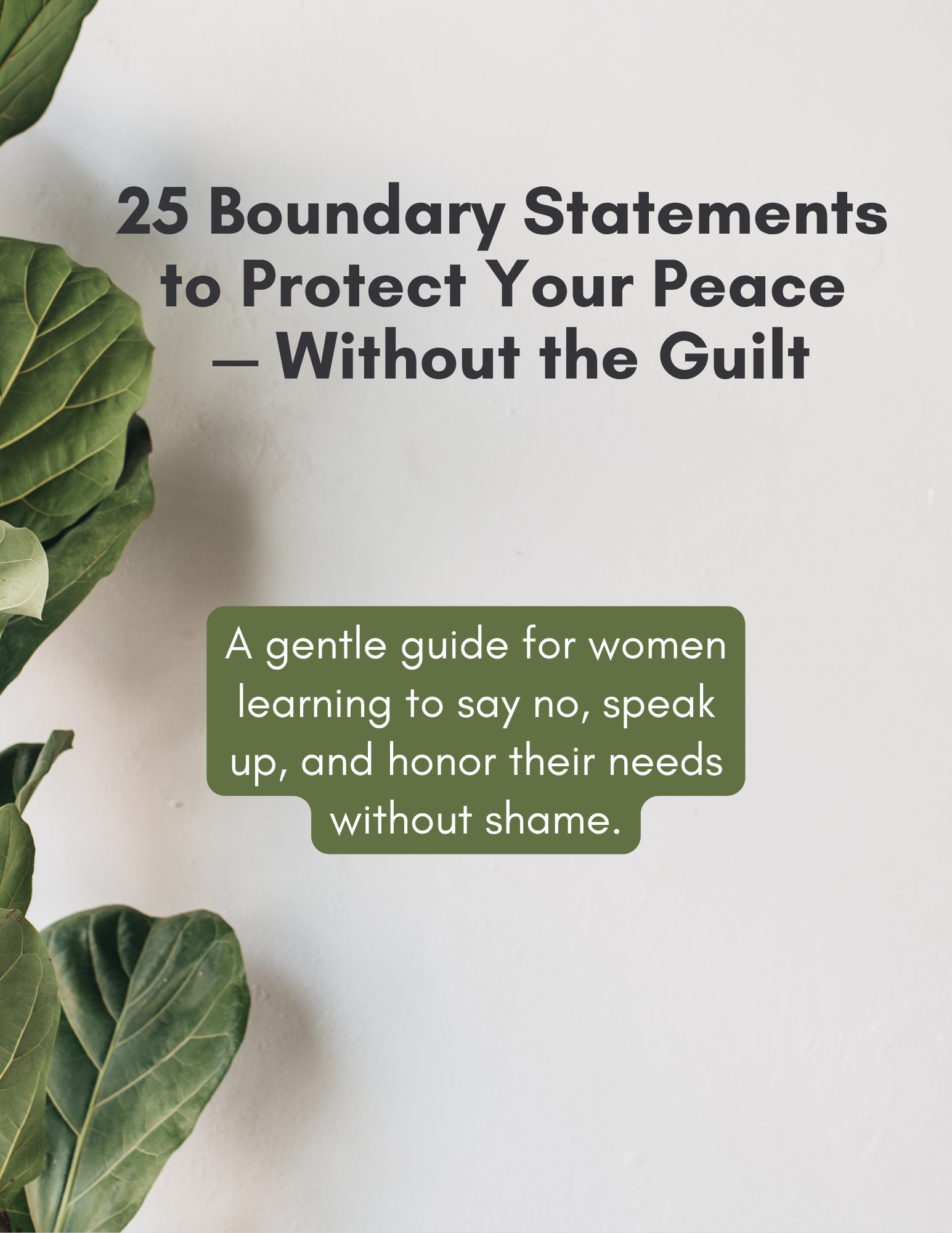 25 Boundary Statements List